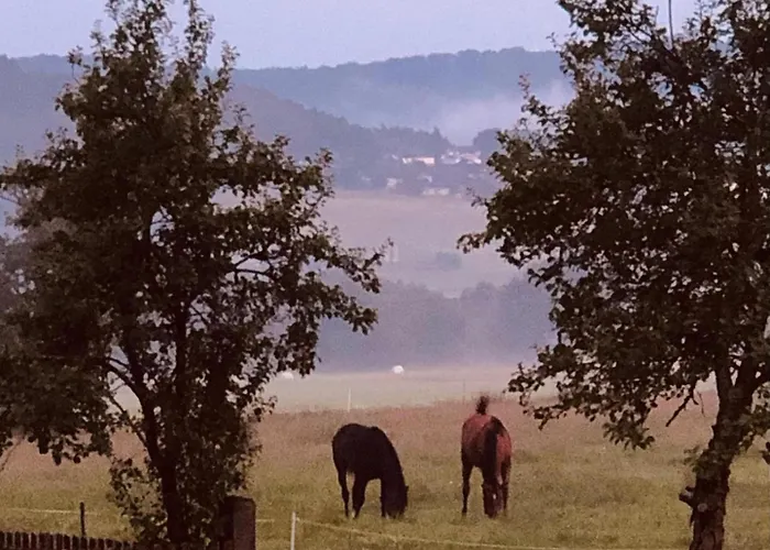 Gemuetliches Bauernhof Duensberg Apartament Biebertal